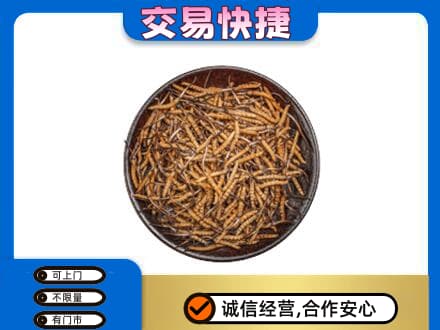 东莞市高价回收散虫草